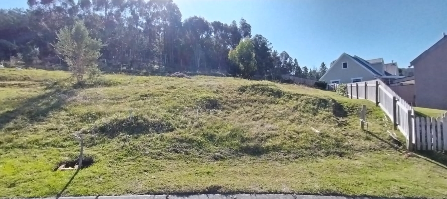 0 Bedroom Property for Sale in Green Pastures Western Cape